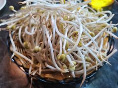 黄豆芽-大鱼山房鱼头火锅(老字号品质店)