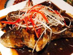 -小眼睛餐饮&杨杨夜宵