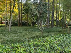 -徐家汇源景区-衡山公园