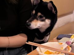 -柴の食堂·日式家庭料理·熊之肆(大学路店)