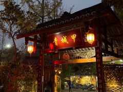 -青城甲(青城山店)