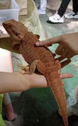 点击看大图 -酷嗒动物文化乐园(cutezoo西溪乐天城店)