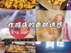 -阿捡忭京炸鸡(韭菜园总店)