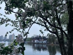 -莫愁湖公园