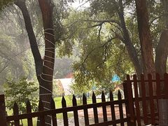 -乌素图国家森林公园