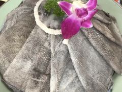 -巴倒烫陆派火锅山庄(南山总店)