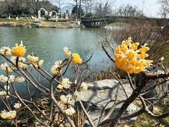 -玄武湖景区-情侣园游乐场