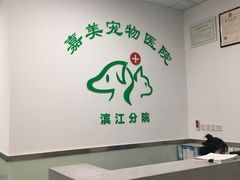 -美美宠物诊疗中心·异宠·骨科(滨江东信分院)