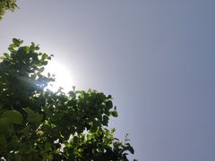 -上海山野camping·户外天幕烧烤·团建拓展营地