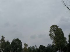 -眉山湿地公园(东坡区)