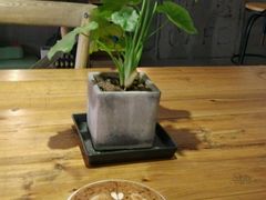 -研途咖啡馆(健康路店)