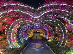 -三亚海昌梦幻海洋不夜城