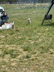 -268童话露营农场·烧烤·团建