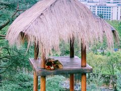 -云南野生动物园