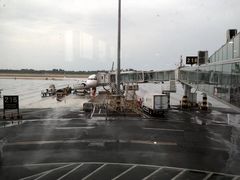 -石家庄正定国际机场-T2航站楼