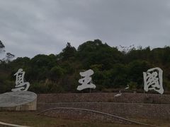 -东郊湿地公园