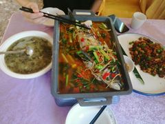 活渡花鲢-蜀江春(科华北路店)