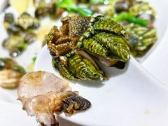 盐水佛手螺-佬太公海鸭·海鲜大排档(上海总店)