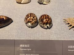 -中国（海南）南海博物馆