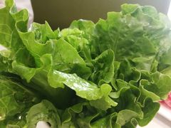 -古乐牛香·鲜牛肉牛杂火锅(新区店)