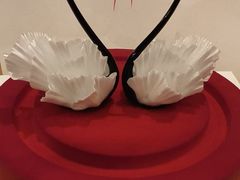 -BLACKSWAN黑天鹅(环球店)