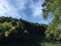 -杭州西湖风景名胜区-三生石