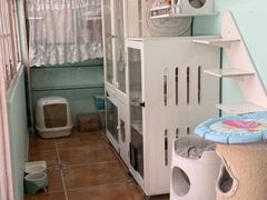 -柏斯音乐艺术中心·钢琴·吉他(上音店)