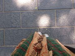 DSC_3344-南馆公园