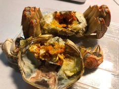 阳澄湖大闸蟹-黄记大闸蟹专卖店·活蟹·醉蟹