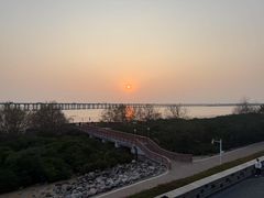 -宝安西湾红树林湿地公园