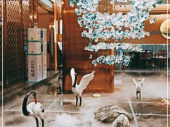 -金色印象·4K影院式足体养生(南滨印象店)