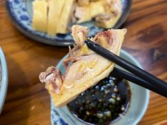 -九斤黄三黄鸡专卖店