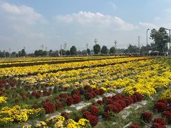 -中国天府农业博览园