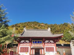 -玉华宫景区