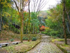 -仙霞关景区