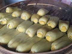 -秀丽东方