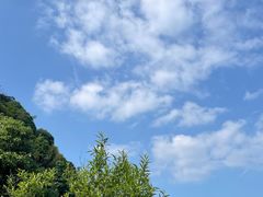 -午潮山国家森林公园
