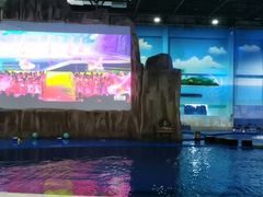 -华夏文旅海洋公园