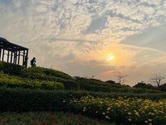 -东莞植物园