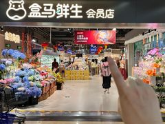 -盒马鲜生(枣园路店)
