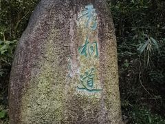 -梧桐山风景名胜区