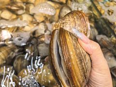 -震海贝烤贝·民俗特色店(延吉总店)