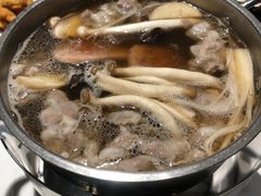 -大胖骨汤火锅(裕华店)