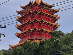 -黄鹤楼公园(黄鹤楼)