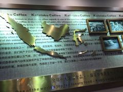 -猫屎咖啡(日月光中心广场店)
