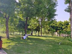 -眉山湿地公园(东坡区)