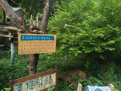 -柳州市动物园