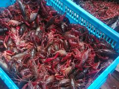 -庾氏龙虾馆(多弗汇店)