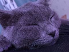 -冠群家居广场(会战大街店)