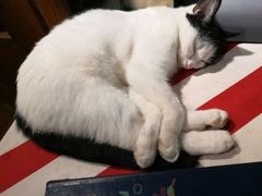 -么么咖啡(燕郊店)